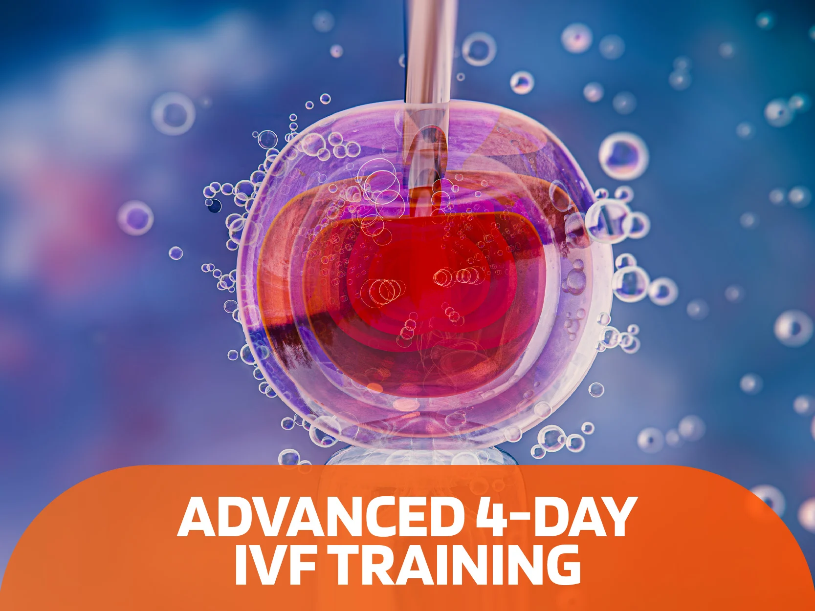 Advanced 4day ivf training